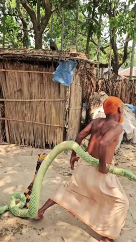 Viral King Cobra Fake Snake Prank On 2024! #funnyvideos