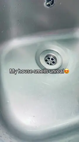 This frangrance fizzer makes my house smell amazing! #fyp #foryou #fyy #fu #fy #fypシ #bargain #clean #house #Home #sink #toilet #fragrance #fragances #smell #cleaning #viral #fypシ゚viral 