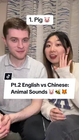 English vs Chinese: Animal Noises 🐷🐝🦊 #uk #british #internationalcouple #interracialcouple #britishaccent #couplegoals #mandarin #chinese #english 