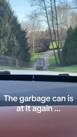 The garbage can does it again…🤣🤣 #tiktokfunny #icouldgetusedtothis #fyp