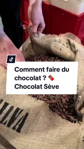 Comment faire du chocolat artisanale en France en 2024 ? Arthur Sève répond ! 🍫 #chocolatseve #chocolat #fevedecacao #cacao #seve #chocolaterie #artisan #savoirfaire #lyon #tablettedechocolat  