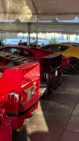 Ferrari shenanigans #fyp #foryoupage #cars #carsoftiktok #carspotting #viral #stebocars 