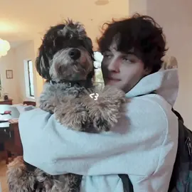 when he loves animals☹️ #mattsturniolo #mattsturnioloedit #ilovemattsturniolo #sturniolotriplets #sturniolotripletsedit #fyp #foryoupage  @Matt 