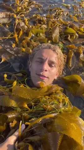 Replying to @jimmy The kelp keeps me warm! #fyp #foryou 