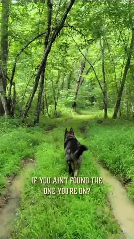 Hell on Earth Lyric Video - footage from 2022, walking back to the river where I wrote most of the songs for the album 