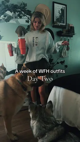 Day two of a week of #workfromhome outfits… the dogs wanted to be involved today 🦮 #wfh #OOTD #remotework #remoteworklife #wfhoutfit #huskypuppy #gsd 