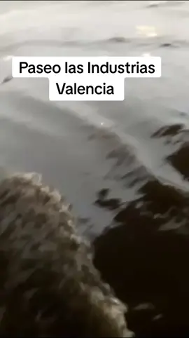 Increíble pero cierto casi toda Valencia las avenida full de agua con la primera lluvia 
