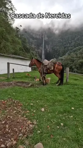 Lugar magico#viral#puebliando#parati#cheyy 