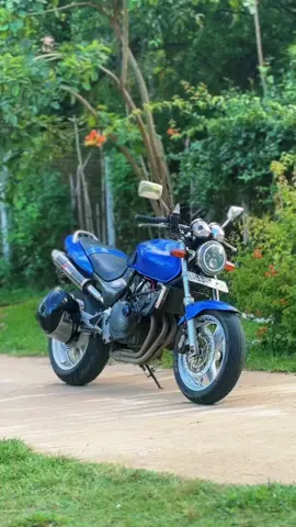 Say the side without signal light 😶‍🌫️ #hornet #hondahornet #hornet250 #srilanka #honda #japan #japanbike #uj1016 #fyp #viral #viraltiktok #bikelife #bike #bikers #foryou #foryoupage #foryourpage #tiktok 