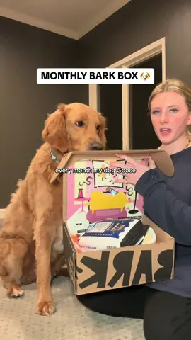goose is loving his @Shop BARK subscription 😇 #dogsubscriptionbox #goose #barkboxtoys #barkbox #unboxing 