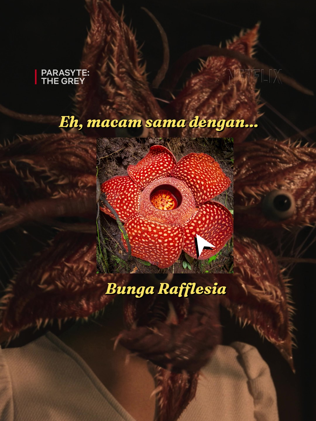 Bukan ke bunga Rafflesia ni busuk jugak? 😅 Kalau ada si parasite versi Rafflesia ni nak datang Malaysia, mandi dulu pls. #ParasyteTheGrey #DONECLAIM #SembangEntertainment #DramaTikTok #NewReleases #KDramas #KDramaLovers #WhatToWatch #TVRecommendations #NetflixMY #FlixReview