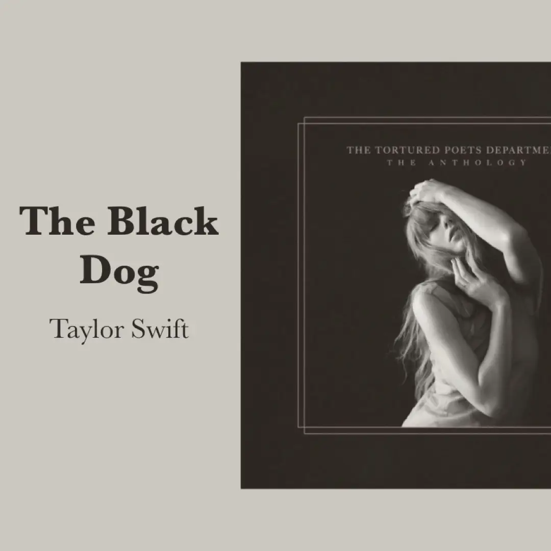 The Black Dog by Taylor Swift (Sped Up Version) 🖤 #taylorswift #ttpdtheanthology #theblackdog #thetorturedpoetsdepartment #swifties #swifttok #ttpd #music #newalbum #ts11