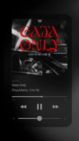 Gata Only slowed reverb #songlyrics #izansonglyrics #music #songs #gataonly #floyymenor #spotify 