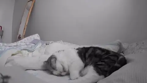 😴