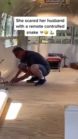 My friend was scared and fell down by me.🤓🐍 #foryou #tiktokshop #fyp #gift #fun #funnny #toys #snake #kids #toy #control 