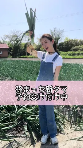 孫まっち新玉サイトからチェックしてね🫶🏼 #新玉ねぎ#淡路島#農家#農業　