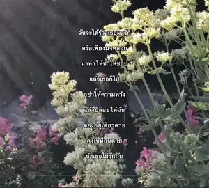 #ฟีดดดシ #fypシ #fyppppppppppppppppppppppp #เธรด 