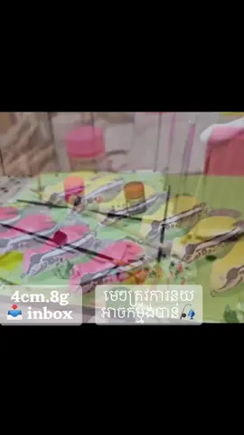 ត្រូវការអាចកម្មង់បានមេៗ📥📥#ពលករកូរ៉េ🇰🇷❤️🇰🇭 #បបក់ត្រីធម្មជាតិ🎣🇰🇭 #fishing #fish #낚시 #가물치낚시 #korean 