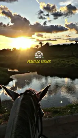 Bom Dia 🏜️🌵 #nordeste #nordestino #sertãonordestino #sertao #nordestinoraiz #osnonatos 