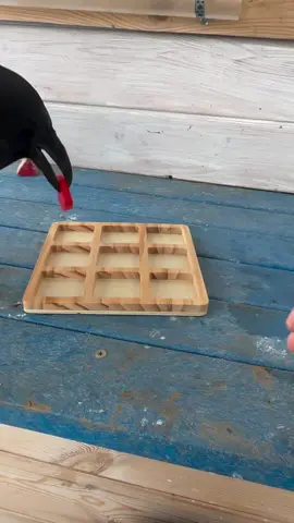 crow playing tic-tac-toe 