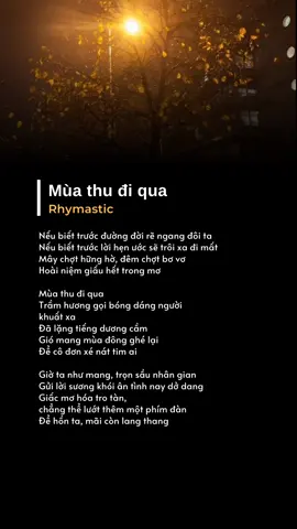 Mùa thu đi qua #muathudiqua #nhachay #xuhuong 