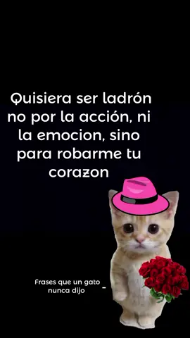Te amo mailob #gatoromantico #parati #fpy #poesia 