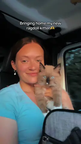 Welcome home Mater🤍 #ragdoll #ragdollsoftiktok #ragdollcat #ragdollkitten #ragdolls #newkitten 