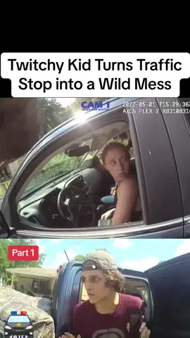 Twitchy Kid Turns Traffic Stop into a Wild Mess