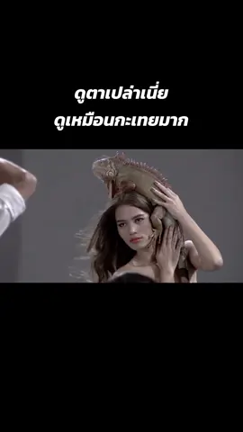 #thefacethailand 
