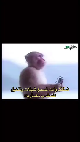 ههههههههههههههههههه#fypシ #explore #foryou #اكسبلور #اكسبلور #ذبات #ضحك #مشاهدات #viral 