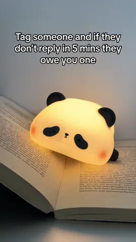 Its so cute and squishy 🥹🥹 #fyp #foryou #lamp #cute #light #viral #gift #giftideas #panda 