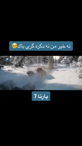 #fyppppppppppppppppppppppp #اكتيف_سفرا_هاريكاري_بين #viraltiktok #badinan #اكسبلوررررر #filmbadini #burhan_tv #fypシ #tik_tok #film #اكسبلورexplore 