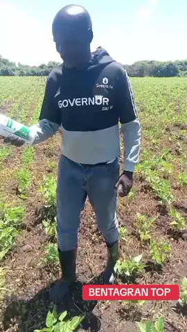 #tiktok #fypシ #goviral #fyp #fyppppppppppppppppppppppp 