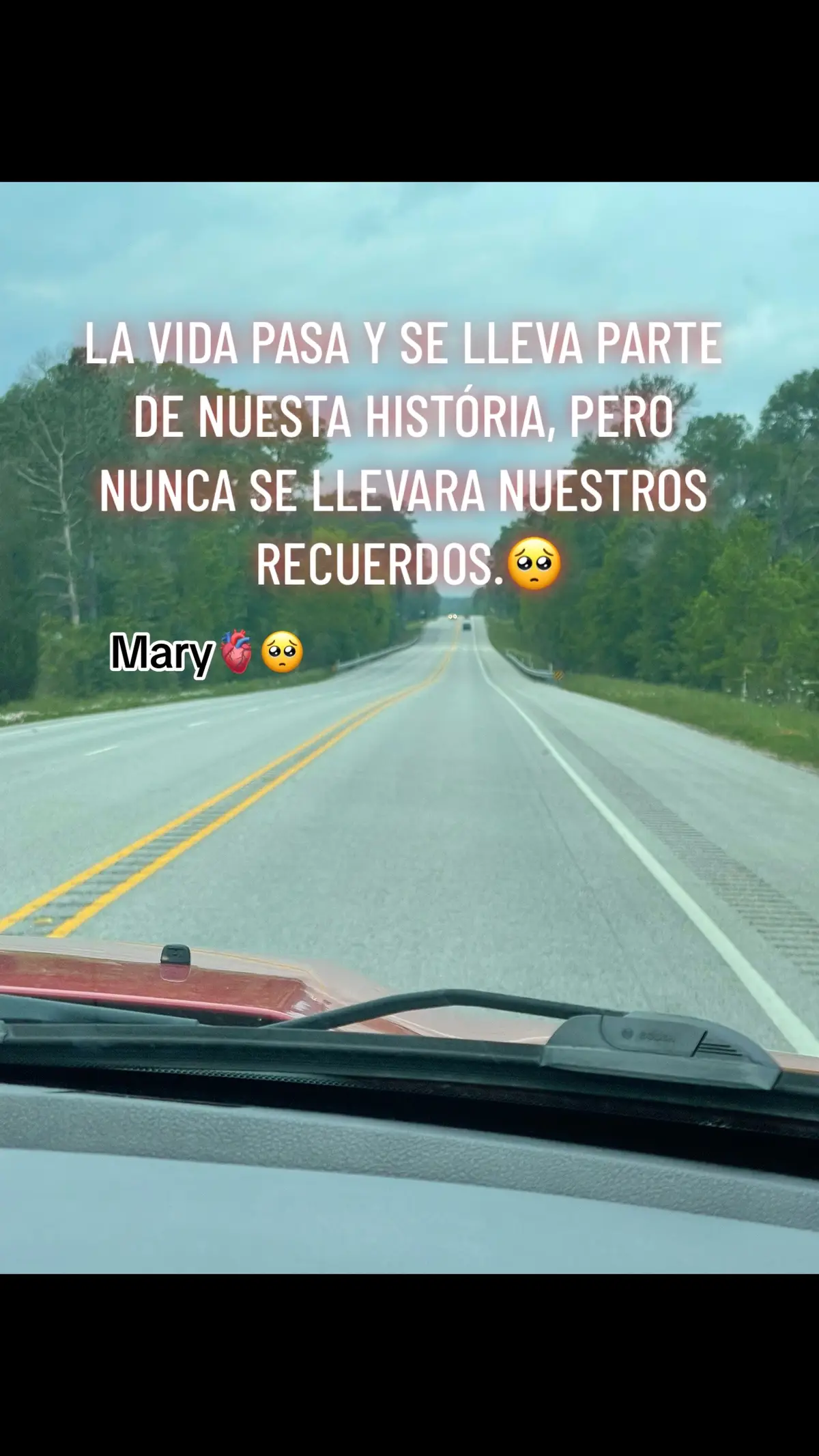 #marymendoza🌻❤️ #fypシ゚viral 