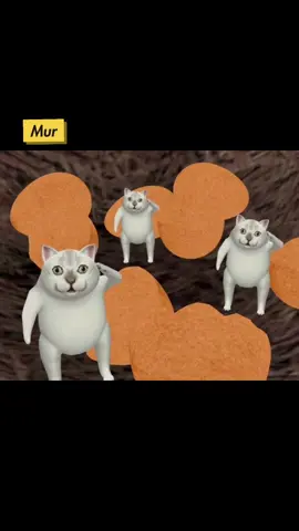 mur cat coming out of an egg. #mur猫 #搞笑mur猫 #murcat #mur #搞笑mur #meme 