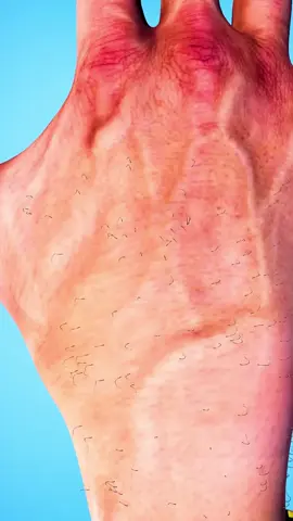 How The Layers of Your Skin Work 🤔
