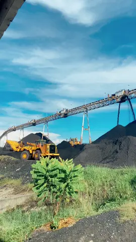 ☀️ #coalmining #mining #port #conveyorbelt #kulitambang #storytambang #anaktambang