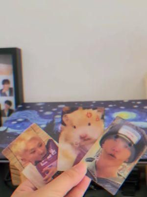Team Horanghae all the way but these lenti pcs are way toooo cute. #Hoshi #kwonsoonyoung #kpopphotocards #SEVENTEEN #SVT #Saythename_17 #Caratdeul #Caratfyp #Caratland #Horangdan #svtcarat #carats #carat 