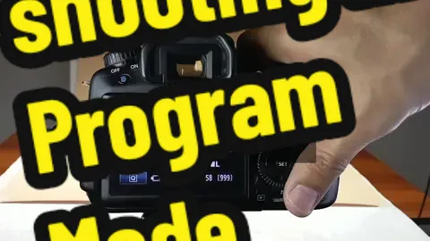 shooting in Program Mode #photography #tips #fyp #foryoupage #LearnOnTikTok #program #mode #canon 