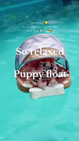 So relaxed,I’ve become one with the this puppy babyfloat 🐶🌴💦😎☀️ #baby #waterbaby #babyswimming #poolsafety #safety #mambobabyfloat #hecceimambobabyfloat #foryou #foryoupage 
