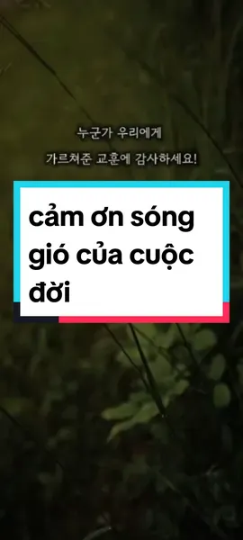 #LearnOnTikTok #hoctienghan #nghetienghan #tienghangiaotiep #koreanstudy #capcut #fypシ #trending #radio #bestrongforyourself 