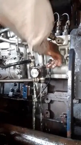 injeksi pump Loder#mekanik #mekanikmuda #mesinloder #fyp 