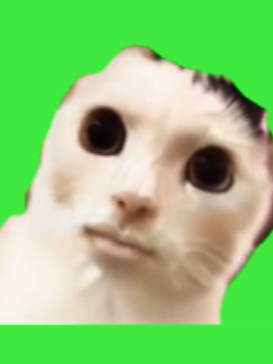 https://store.line.me/stickershop/product/1740404/ja　　#踊るバケモノシリーズ　#dance　#dancing　 #ダンス　#ホラー猫ミーム　#horror　#catmeme #catmemes  #greenscreen #cat #猫ミーム素材  #猫ミーム  #GB素材 #dogmeme #犬ミーム 　#dancecat 　#dancingcat