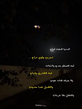 #الدنيا_لابسه_قناع🖤🎭 #foryou #تصميم_فيديوهات🎶🎤🎬 #fyp #statuswhatsapp #حسن_البرنس #الشعب_الصيني_ماله_حل😂😂 