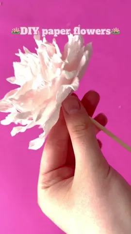 🪷💖
