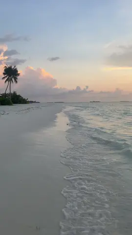 🐚🌺#sea #ocean #sunset #maledives #maledivesisland #fy #trip #🇲🇻 