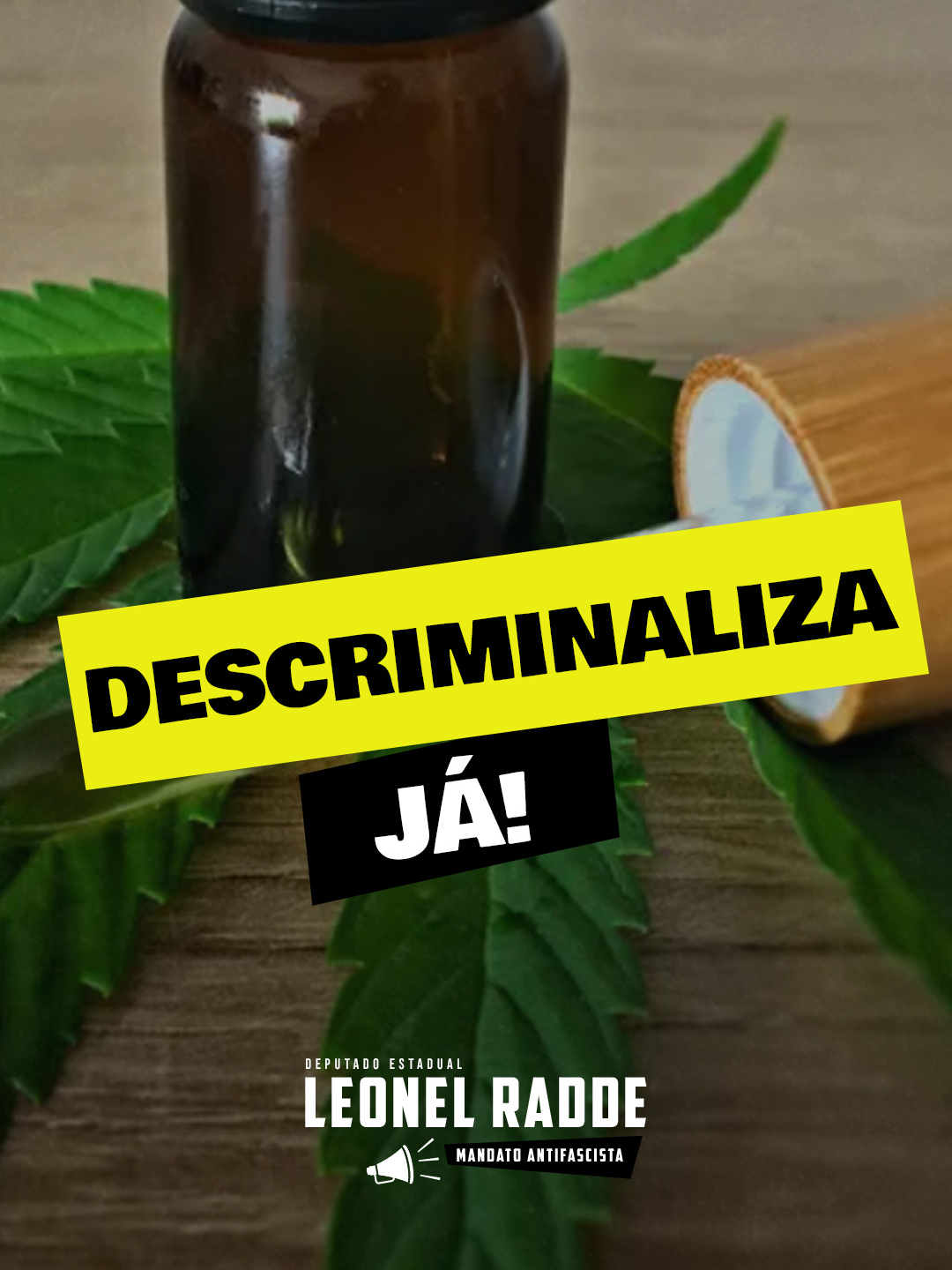 Hoje é o dia mundial da Cannabis. Deixo um trecho da minha participação no evento Cannabis em Foco, que ocorreu nesta manhã no Café Coworking da Tecnopuc. Tive a honra de dividir a mesa com diversos especialistas e estudiosos que são fundamentais no avanço do depate da Cannabis Medicinal e Terapêutica no nosso País. Em minha fala, trago alguns elementos a respeito da pauta dentro do cenário político brasileiro. Obrigada ao Projeto Green Thinking  pelo espaço!