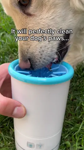 Clean paws instantly🤗 #dogfamily #puppylover #doglover #dogowner #dogcommunity 