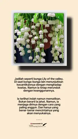 Jadilah Wanita Limited Edition🌷🕊️#lilyofthevalley #quotesaestetic #xyzbca #selfreminders #reminderquotes #fyp #fypシ #fyppppppppppppppppppppppp 