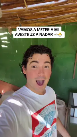 MI NIÑA NADADORA 🥹🐣🏊❤️